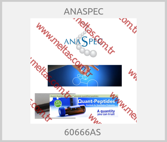 ANASPEC - 60666AS 