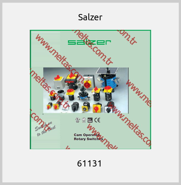Salzer-61131 