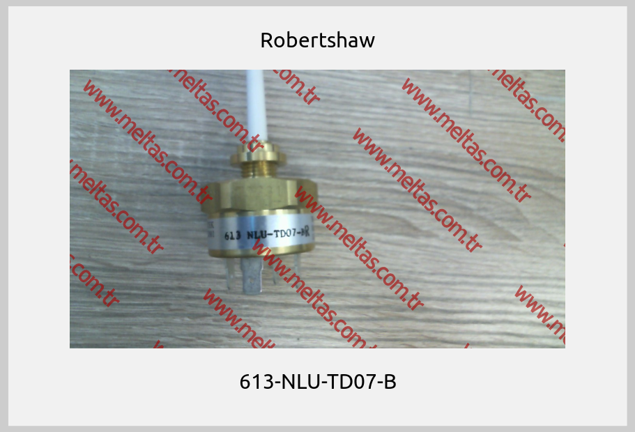 Robertshaw - 613-NLU-TD07-B