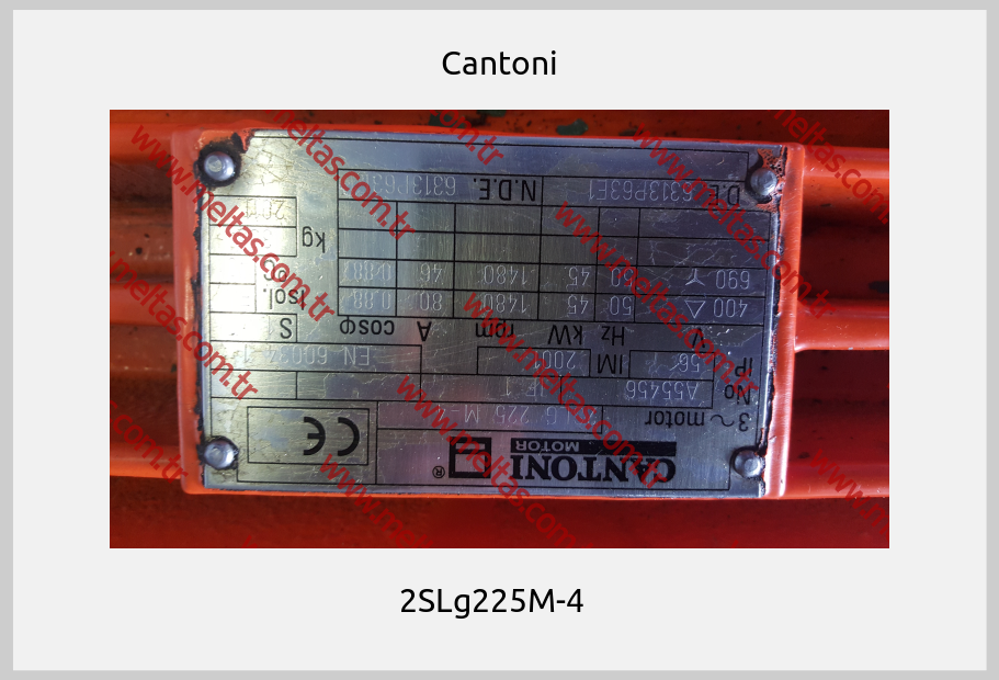 Cantoni - 2SLg225M-4  