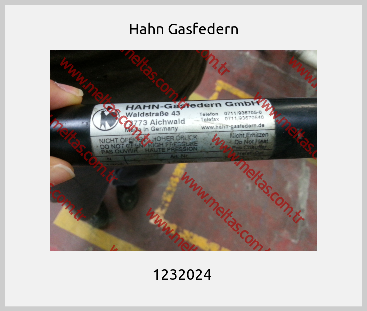 Hahn Gasfedern - 1232024 