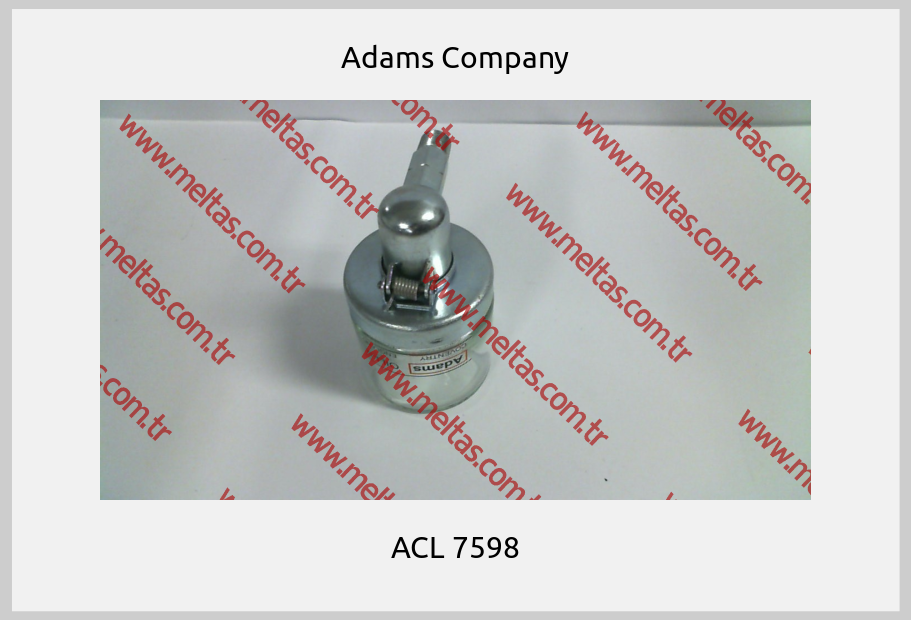 Adams Company - ACL 7598