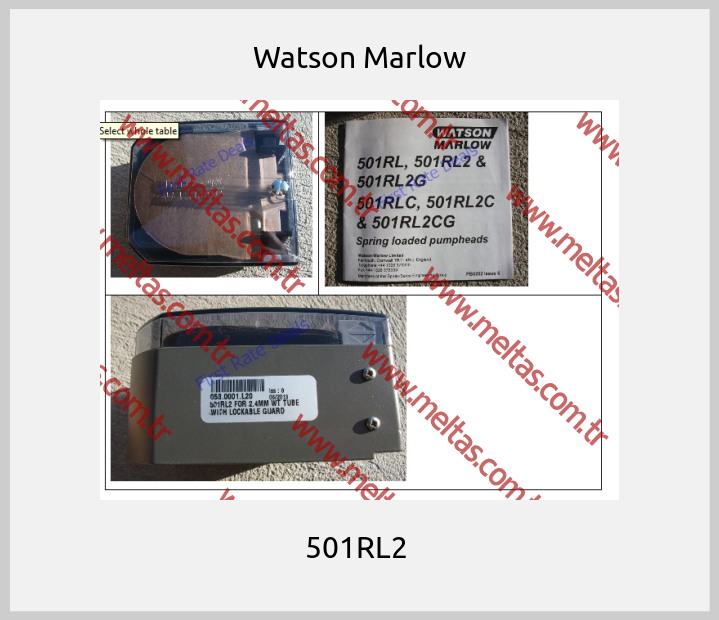 Watson Marlow - 501RL2 