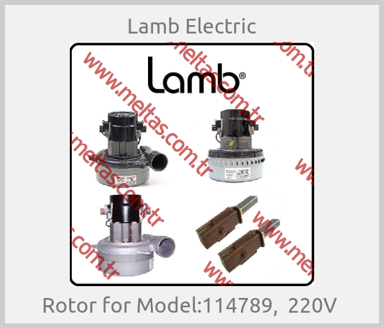 Lamb Electric - Rotor for Model:114789,  220V 