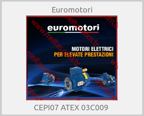Euromotori - CEPI07 ATEX 03C009 