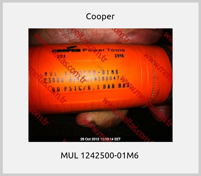 Cooper-MUL 1242500-01M6 