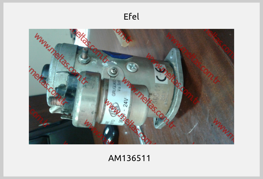 Efel - AM136511  