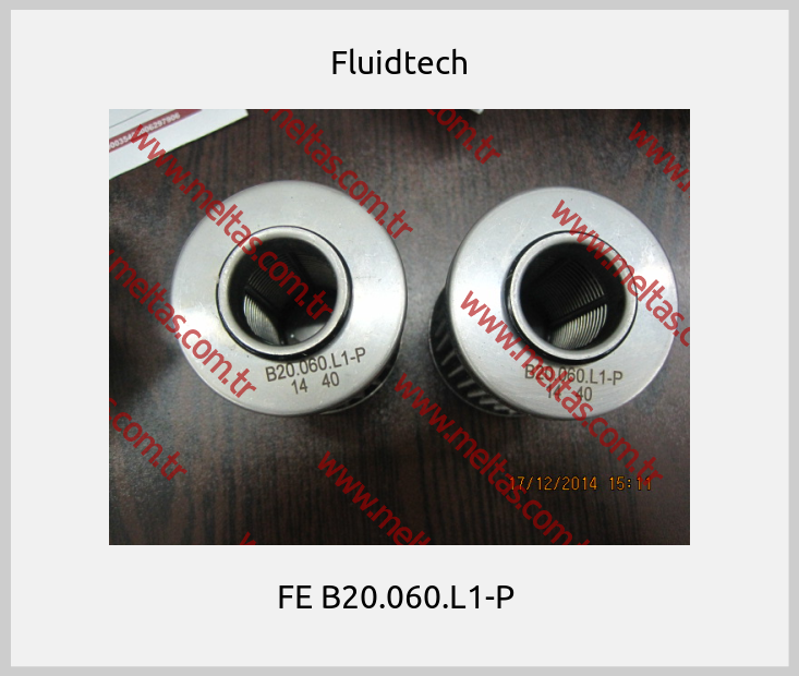 Fluidtech - FE B20.060.L1-P 