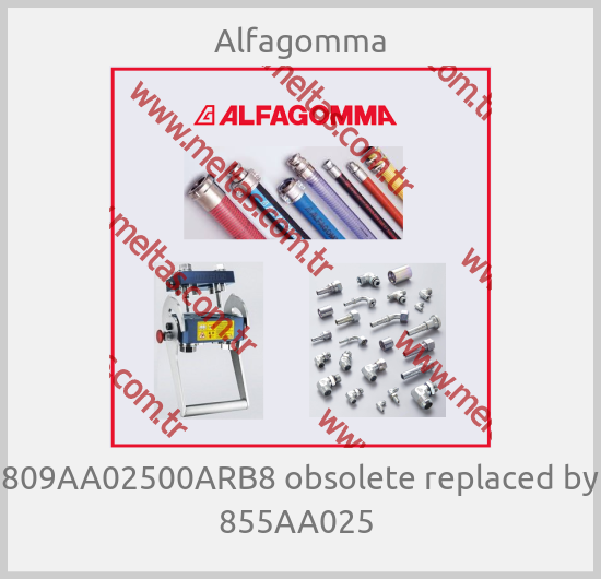 Alfagomma - 809AA02500ARB8 obsolete replaced by 855AA025 