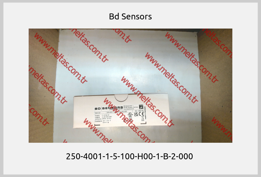 Bd Sensors-250-4001-1-5-100-H00-1-B-2-000 