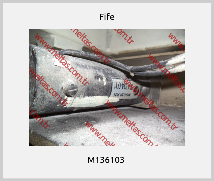 Fife-M136103 