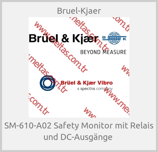 Bruel-Kjaer - SM-610-A02 Safety Monitor mit Relais und DC-Ausgänge 