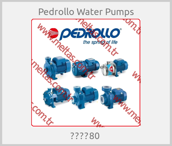 Pedrollo Water Pumps - ３ＣＲｍ80 
