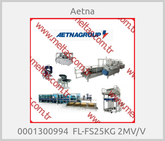 Aetna-0001300994  FL-FS25KG 2MV/V 