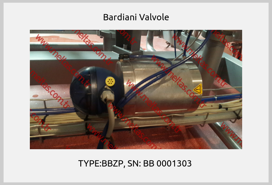 Bardiani Valvole - TYPE:BBZP, SN: BB 0001303 