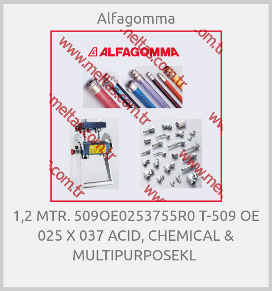 Alfagomma - 1,2 MTR. 509OE0253755R0 T-509 OE 025 X 037 ACID, CHEMICAL & MULTIPURPOSEKL 