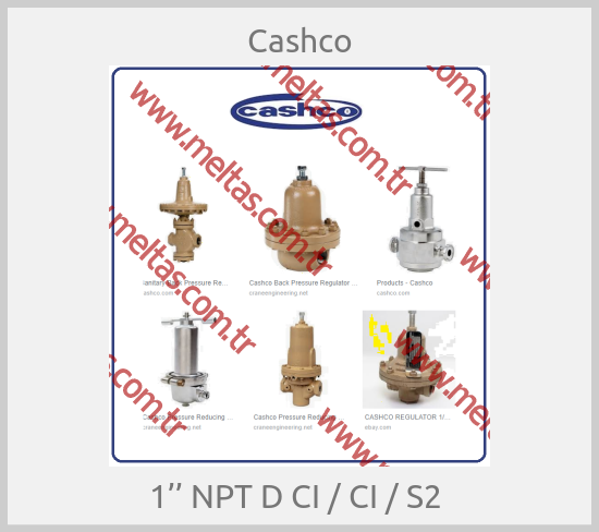 Cashco-1’’ NPT D CI / CI / S2 