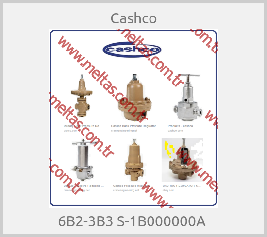 Cashco - 6B2-3B3 S-1B000000A 