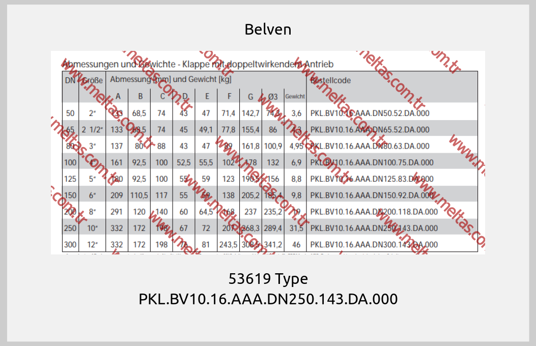 Belven-53619 Type PKL.BV10.16.AAA.DN250.143.DA.000