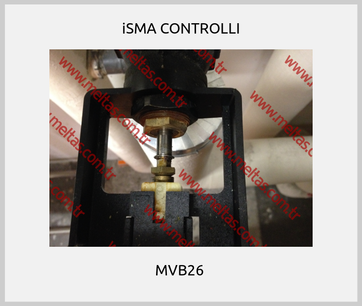 iSMA CONTROLLI-MVB26 