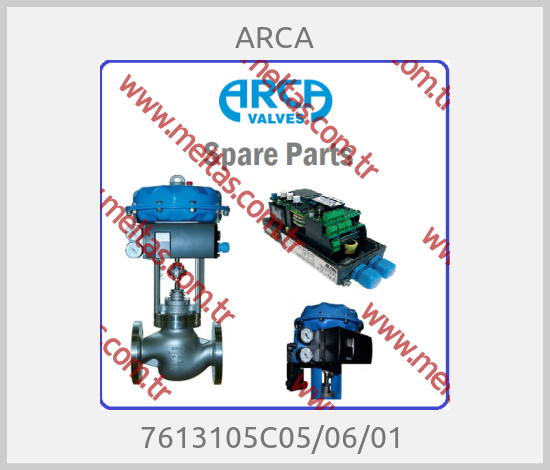 ARCA - 7613105C05/06/01 