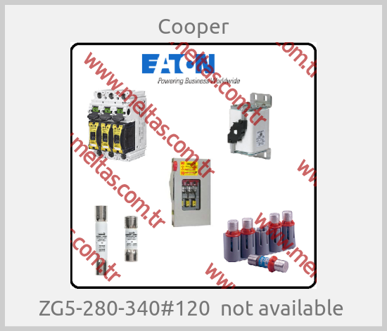 Cooper-ZG5-280-340#120  not available 