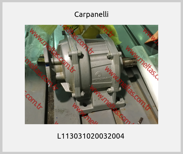 Carpanelli - L113031020032004 