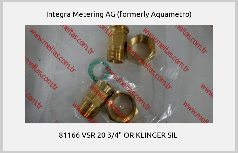 Integra Metering AG (formerly Aquametro) - 81166 VSR 20 3/4" OR KLINGER SIL 