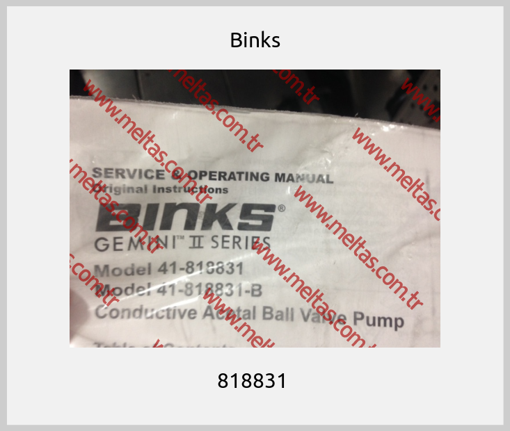 Binks - 818831 