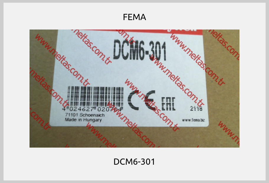 FEMA - DCM6-301