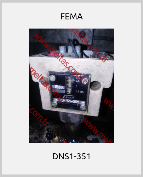 FEMA - DNS1-351