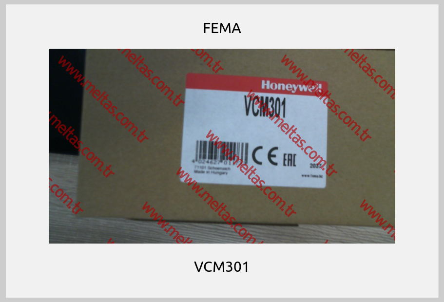 FEMA-VCM301