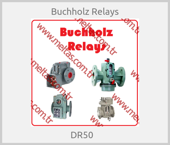 Buchholz Relays - DR50   