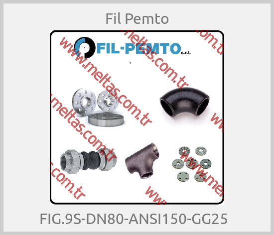 Fil Pemto-FIG.9S-DN80-ANSI150-GG25  