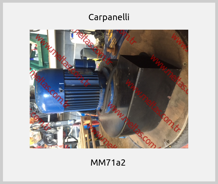 Carpanelli -  MM71a2 