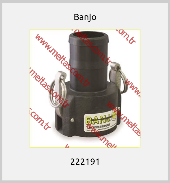 Banjo - 222191