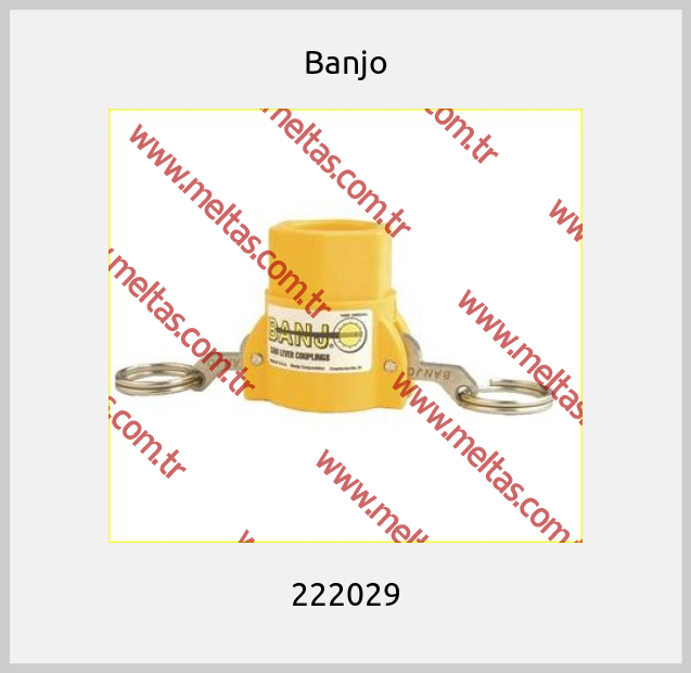 Banjo - 222029