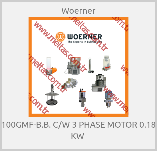 Woerner - 100GMF-B.B. C/W 3 PHASE MOTOR 0.18 KW 