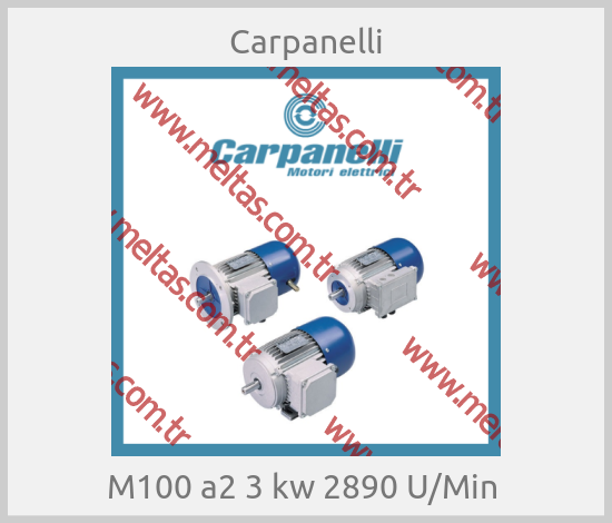 Carpanelli - М100 a2 3 kw 2890 U/Min 