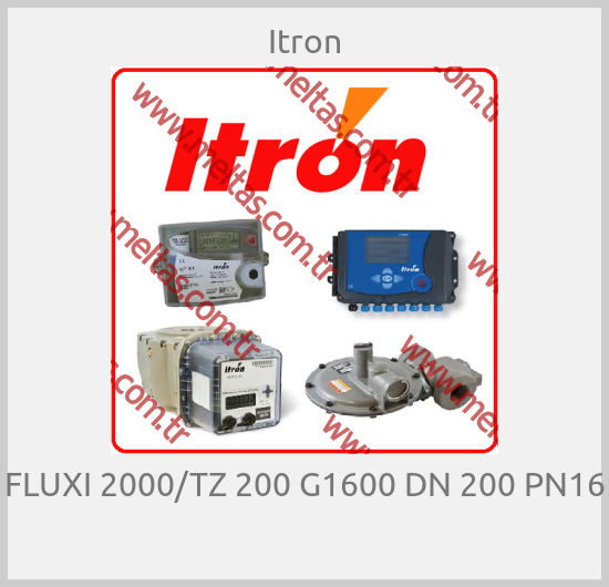 Itron-FLUXI 2000/TZ 200 G1600 DN 200 PN16 