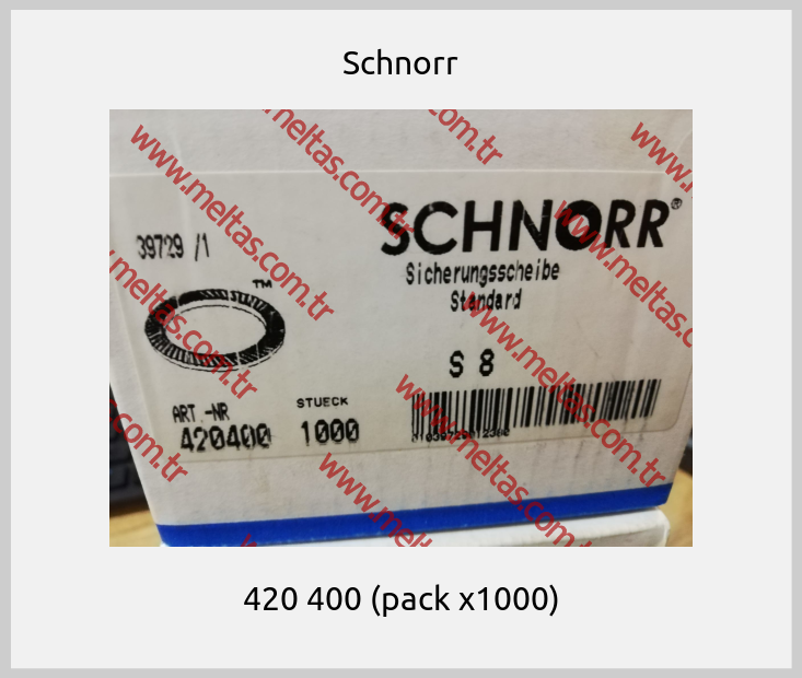 Schnorr - 420 400 (pack x1000)