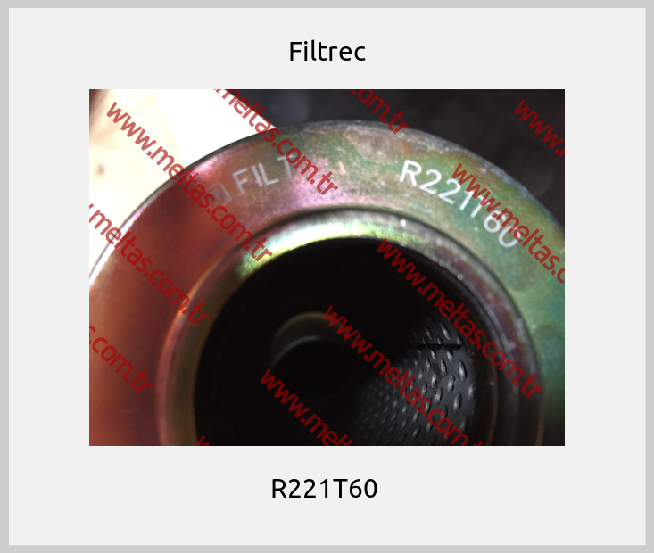 Filtrec-R221T60 