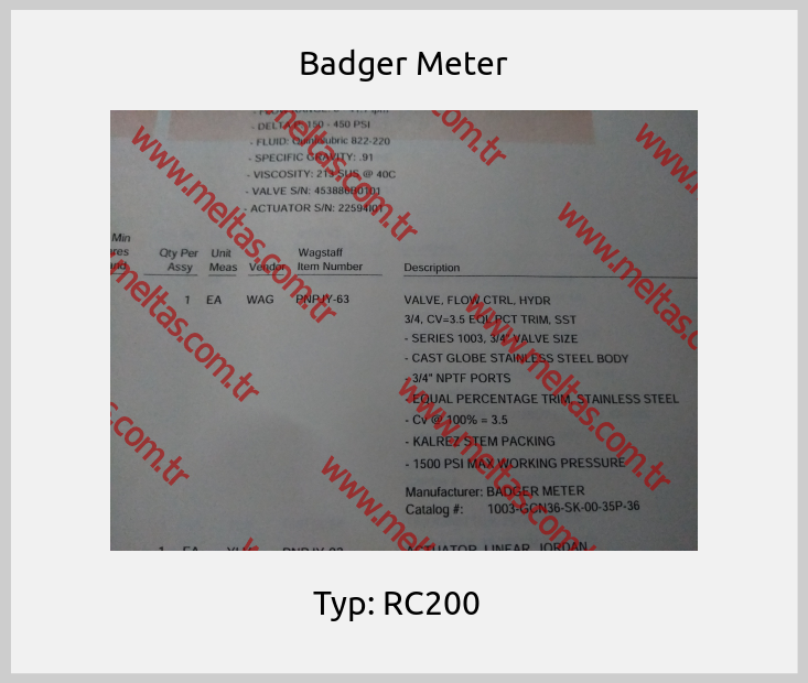 Badger Meter - Typ: RC200  