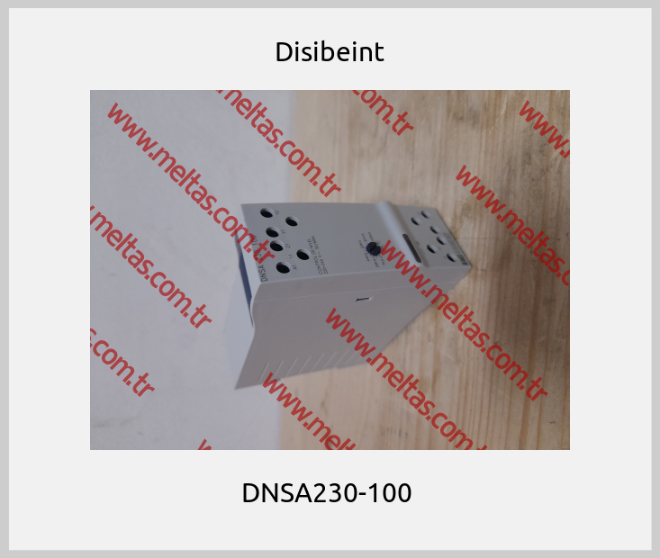 Disibeint - DNSA230-100 