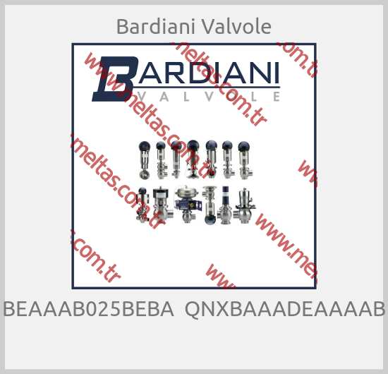 Bardiani Valvole-BEAAAB025BEBA  QNXBAAADEAAAAB 
