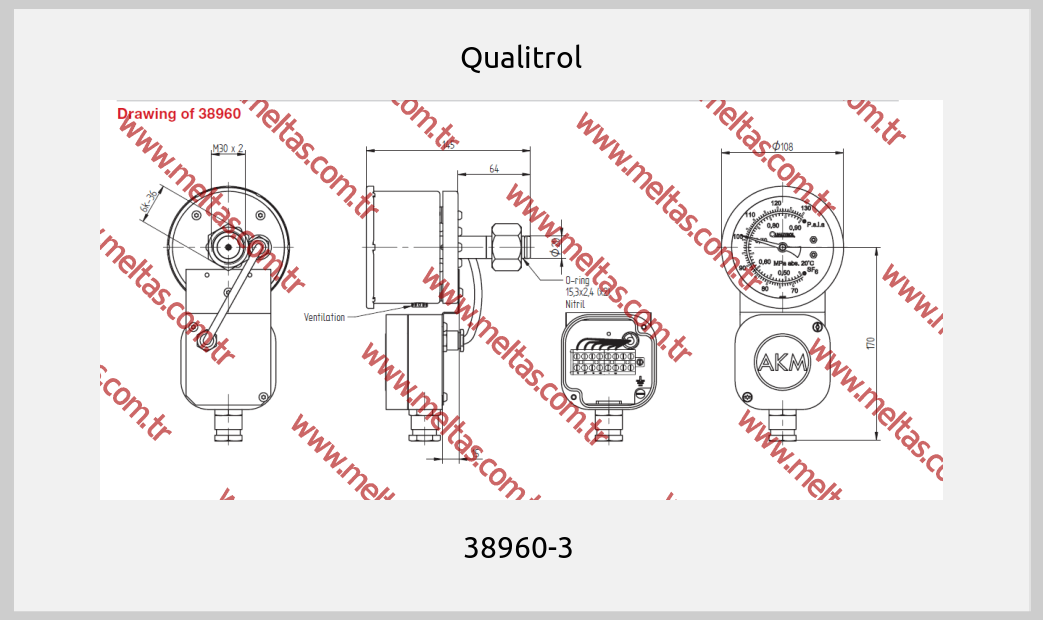 Qualitrol - 38960-3 