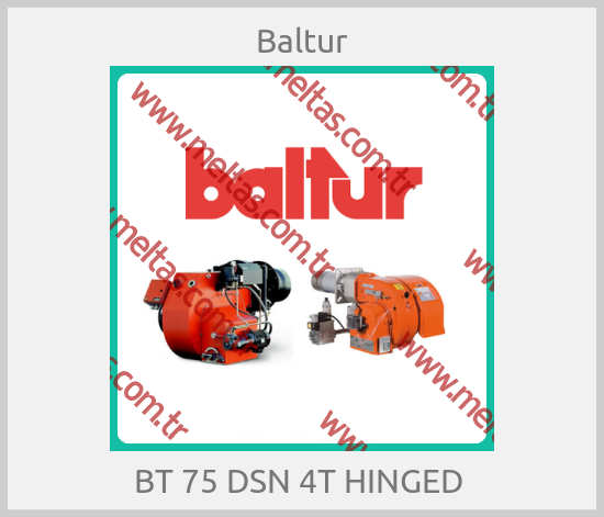 Baltur - BT 75 DSN 4T HINGED 