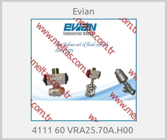 Evian -  4111 60 VRA25.70A.H00 