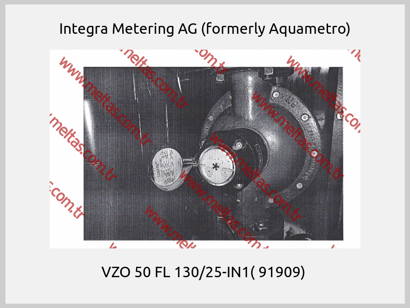 Integra Metering AG (formerly Aquametro)-VZO 50 FL 130/25-IN1( 91909) 