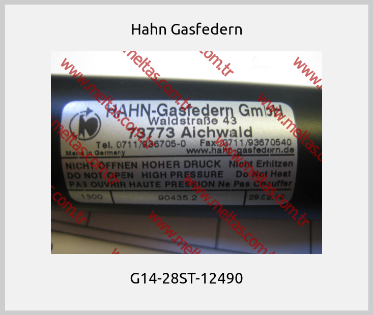 Hahn Gasfedern - G14-28ST-12490